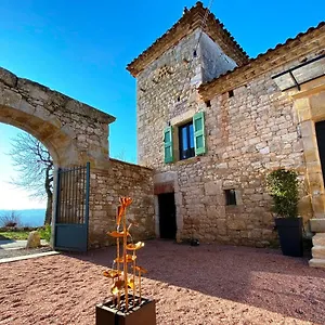 Domaine De Lejos - Portes D'albi Bed & Breakfast Lamillarié
